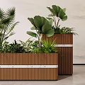 Modern Plant Combination in Wooden Planters with Large Leafy Plants and Palm Greenery