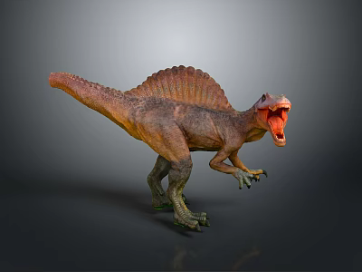 Brown And Orange Spinosaurus Dinosaur With Sailback Open Mouth Roaring Standing Pose 3d model