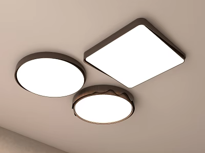 Modern Ceiling Light Walnut Ceiling Light 3d model