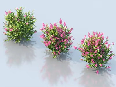 Three Lush Shrubs With Pink Flowers And Green Foliage 3d model
