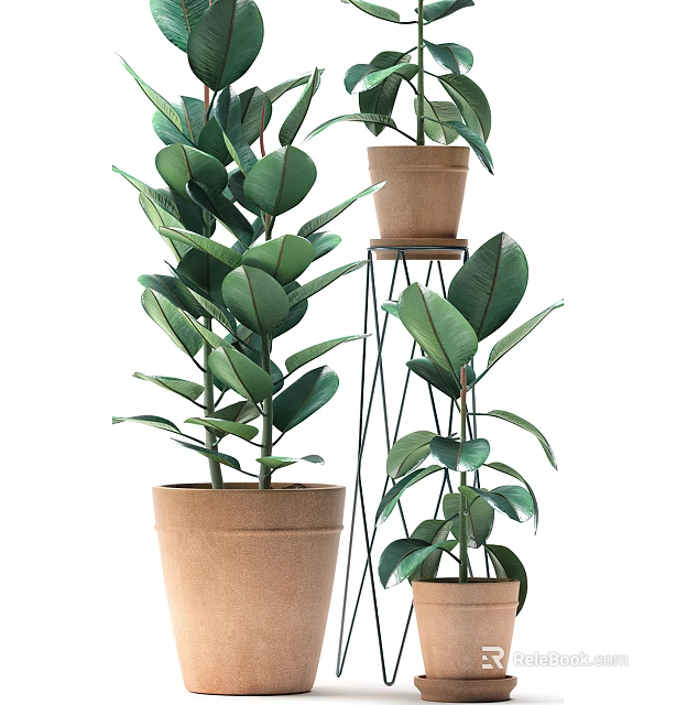 Lush Green Bonsai Plants With Terracotta Pots And Metal Stands 3d model 