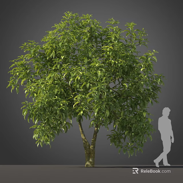 Lush Green Arbor With Dense Foliage Strong Trunk And Human Silhouette For Scale 3d model 