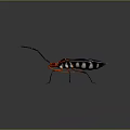 Red Headed Insect Featuring Black Wings Red And Black Body Long Red Legs Shiny Surface