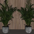 Indoor Potted Green Plants in Gray Pots Against Wooden Wall With Vertical Lights