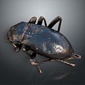 Modern Beetle Beetle Insect Animal Items 3d model