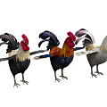 Three Colorful Roosters Standing with Vibrant Plumage and Red Combs