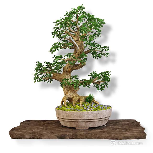 Bonsai Potted Plant With Lush Green Foliage Curved Trunk Stone Pot And Wooden Base 3d model 