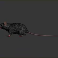 Game And Movie Character Black Rat With Pink Ears Pink Paws And Long Tail
