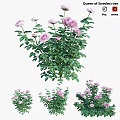 Charming Garden Ornament Featuring Pink Roses and Lush Green Leaves