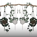 Lush Green Macramé Hanging Plants Suspended On Wooden Rod With Foliage