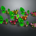 Decorative Plants with Green Leaves and Colorful Pink Orange Purple Blooms for Indoor Decoration
