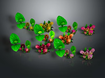 Decorative Plants with Green Leaves and Colorful Pink Orange Purple Blooms for Indoor Decoration 3d model