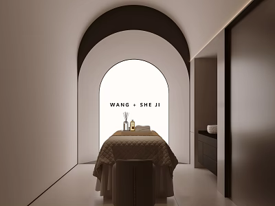 Modern Beauty Salon Interior With Arched Doorway Massage Bed Skincare Products Cabinet And White Bowl 3d model