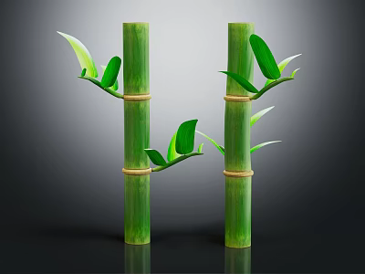 Green Bamboo Stems With Fresh Leaves And Nodes On Dark Background 3d model