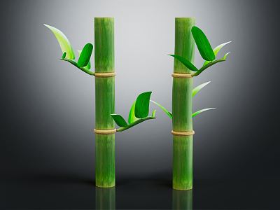 Modern Bamboo Slub 3d model