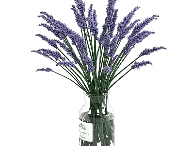 Decorative Ornament Set With Purple Lavender Bouquet In Transparent Glass Vase 3d model