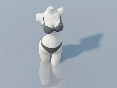 White Mannequin Showing Dark Grey Bra And Panties On Light Blue Background With Shadow Reflection 3d model