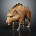 Realistic 3D Model Of Wild Boar With Brown Fur Sharp Tusks And Reflection