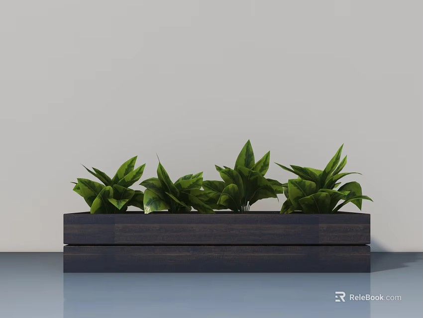 Lush Green Potted Plants in Wooden Rectangular Planter with Simple Light Wall 3d model