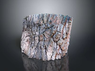 Natural Tree Stump Shaped Decorative Household Item With Bark Texture 3d model