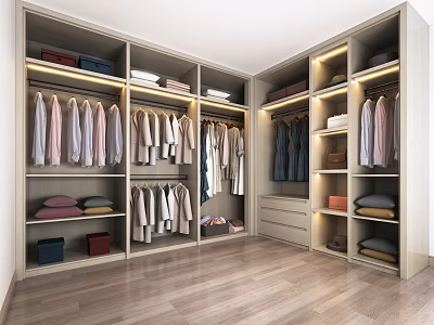 Modern Walk in Wardrobe Design With Built in Lighting Hanging Sections And Folded Storage 3d model