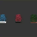 Colorful Blue Pink Green Plants in White Black Square Rectangular Containers