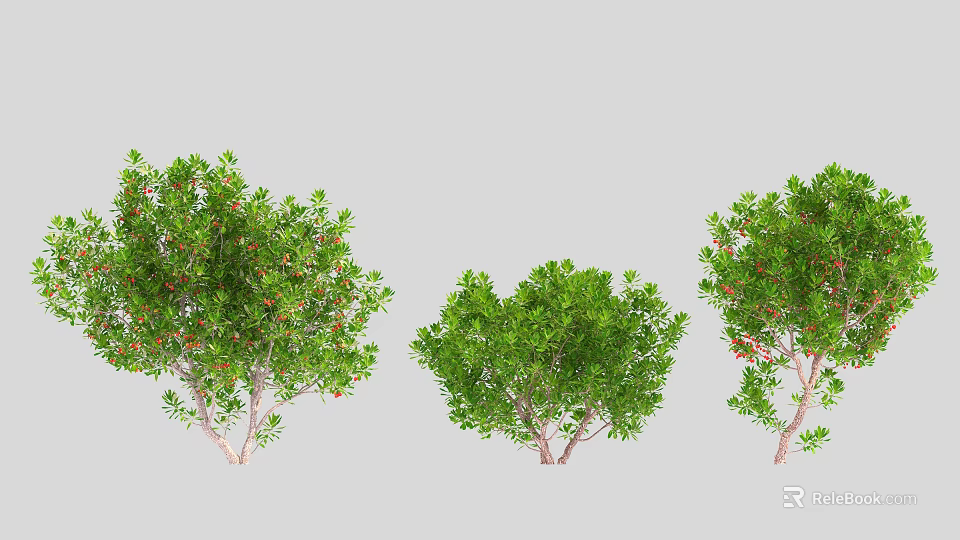 Three Arbor Trees With Green Leaves Red Fruits And Natural Branches In Landscape 3d model 