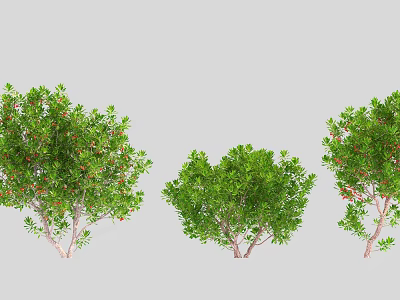 Three Arbor Trees With Green Leaves Red Fruits And Natural Branches In Landscape 3d model
