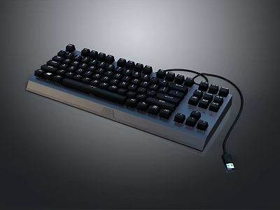 Black Mechanical Keyboard With Wired Connection Ergonomic Keycaps And Illuminated Indicator 3d model