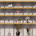 Various Decorative Vases With Flowers And Plants On Illuminated Wall Mounted Shelves