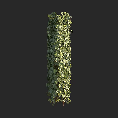 Tall Lush Green Ivy Covered Decorative Column For Garden Decoration 3d model
