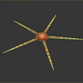 Red And White Striped Starfish Aquatic Animal With Multiple Long Arms In Marine Environment