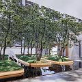 Modern Garden Landscape Design With Trees Green Lawn And Water Features