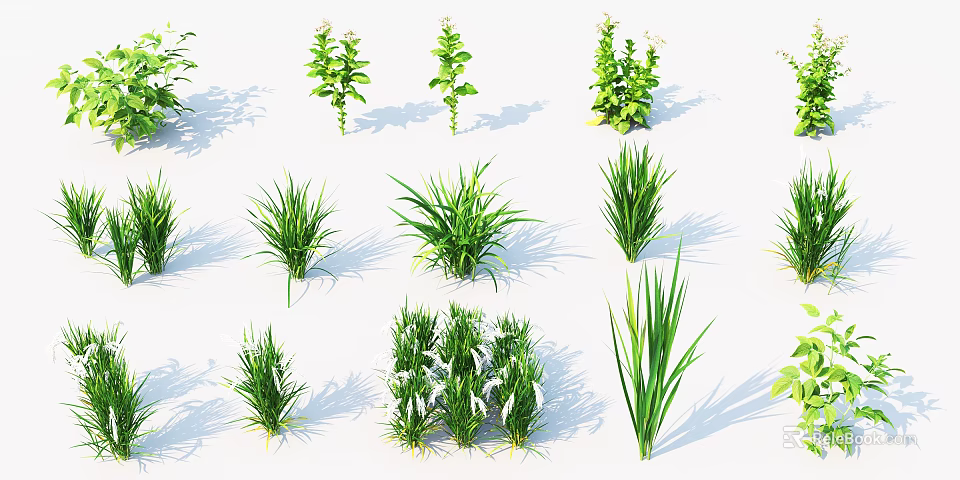 Assorted Green Plants and Herbs Collection with Different Shapes and Sizes 3d model