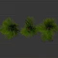Three Green Palm Plants In Terra Cotta Pots Against Dark Background