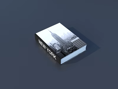 Famous Novel Magazine Books 1 3d model
