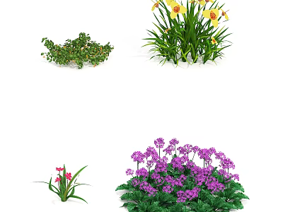 Colorful Flowers and Green Plants with Vibrant Blooms in Various Types 3d model