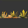 3D Rendered Plants with Yellow and Green Leaves Surrounded by Orange and Gray Stones