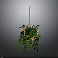 Lush Green Hanging Plant In Wicker Basket With Wooden Hanger And Trailing Leaves