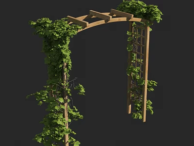 Wooden Garden Arch Decorated With Lush Green Vines And Leaves 3d model