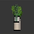 Indoor Potted Green Plants With Cylindrical Fabric Planters And Leafy Foliage
