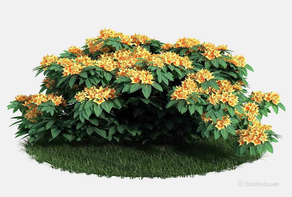 Vibrant Yellow Flowering Shrub With Green Leaves And Lush Grass 3d model 