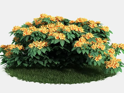 Vibrant Yellow Flowering Shrub With Green Leaves And Lush Grass 3d model
