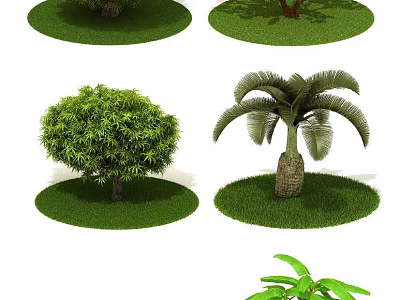 Various Types of Trees with Lush Green Foliage and Green Grass Base 3d model