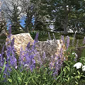 Beautiful Garden with Purple Flowers and White Flowers Surrounded by Stones Trees and Green Grass