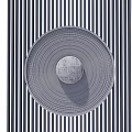 Modern Circular Wall Decor With Concentric Circle Texture On Vertical Stripe Background 3d model