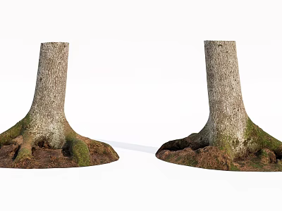 Natural Stone And Wood Tree Trunks With Exposed Roots In Natural Landscape 3d model