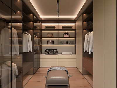 Luxury Modern Walk in Closet Interior With Hanging Clothes Glass Cabinets And Central Bench 3d model