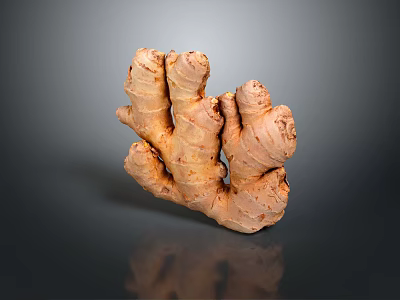 Vegetables Fruit Vegetables Ginger 3d model