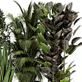 Various Potted Plants With Decorative Woven And Ceramic Pots For Indoor Greenery